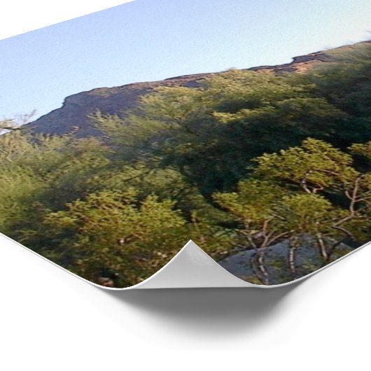 Poster Montagne Camelback (Coin)