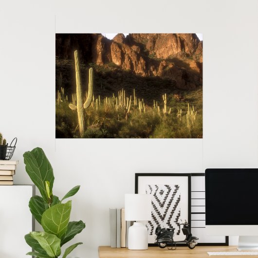 Poster Montagne de superstition (Bureau à domicile)