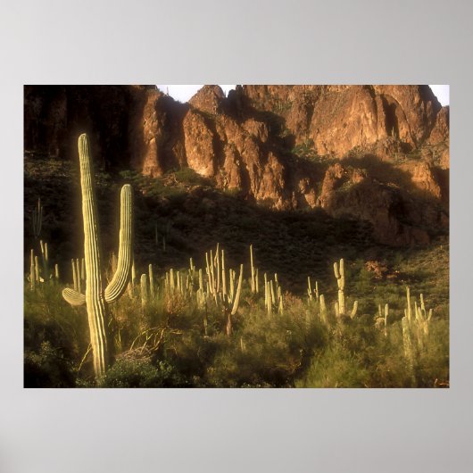 Poster Montagne de superstition (Devant)