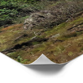 Poster Montagne des Rocheuses (Coin)