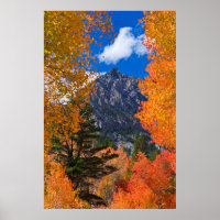 Montagne encadrée par le feuillage d'automne, CA