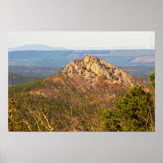 Poster Montagne fourrée, Arkansas (Devant)