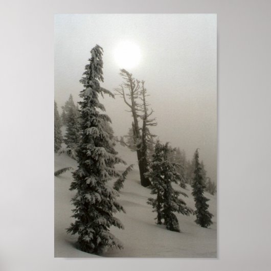 Poster Montagne neigeuse et arbres (Devant)