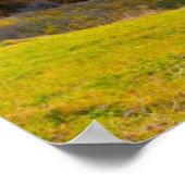 Poster Montagne paysage d'automne avec forêt (Coin)