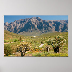 Poster Montagne, Réserve naturelle de Worcester