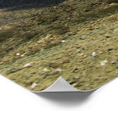 Poster montagnes (Coin)