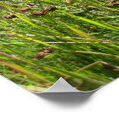 Poster Montagnes (Coin)