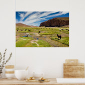 Poster Montagnes | Andes boliviennes (Cuisine)