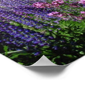 Poster Montagnes blanches (Coin)