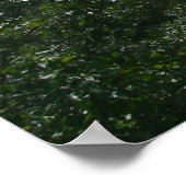 Poster montagnes blanches du New Hampshire (Coin)