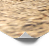 Poster Montagnes de Biokovo - Croatie (Coin)