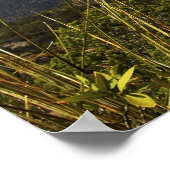 Poster Montagnes de Chiricahua, AZ. (Coin)