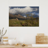 Poster Montagnes d'organes après la tempête (Cuisine)