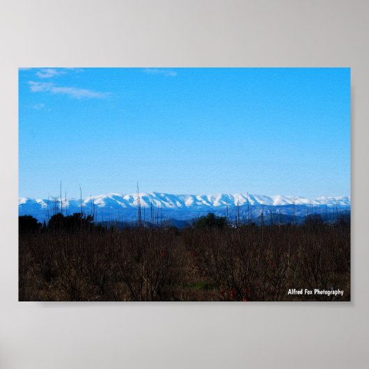 Poster Montagnes enneigées derrière le champ de kakis (Devant)