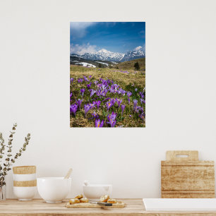 Poster Montagnes et fleurs de crocus sur Velika Planina,