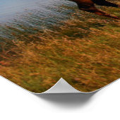 Poster Montagnes | Jacques Mountain Range Alberta Canada (Coin)