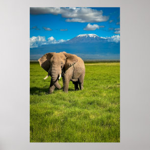 Poster Montagnes Mont Kilimandjaro Tanzanie, Afrique