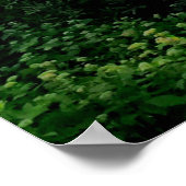 Poster Montagnes nuageuses Blue Ridge (Coin)