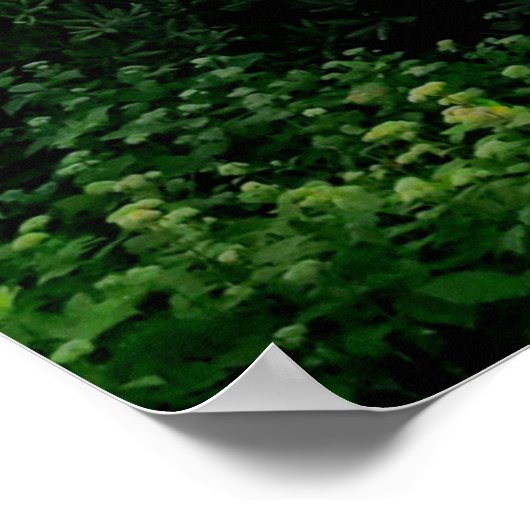 Poster Montagnes nuageuses Blue Ridge (Coin)