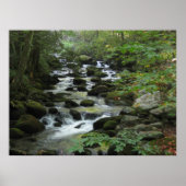 Poster Montagnes Smokey (Devant)