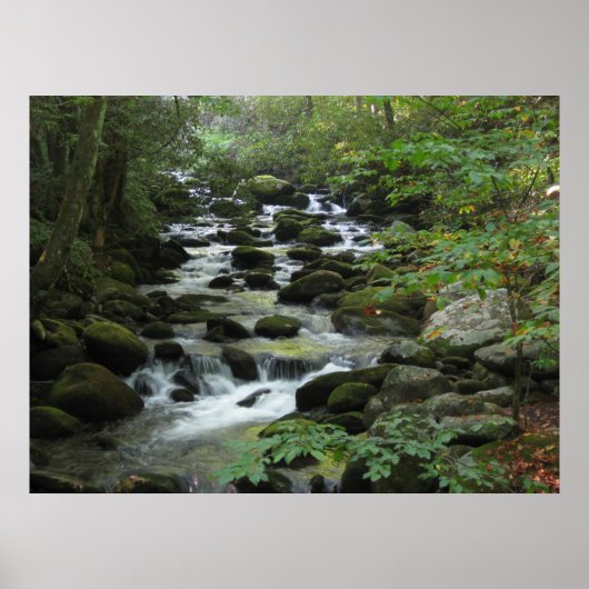 Poster Montagnes Smokey (Devant)