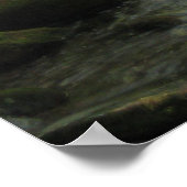 Poster Montagnes Smokey (Coin)