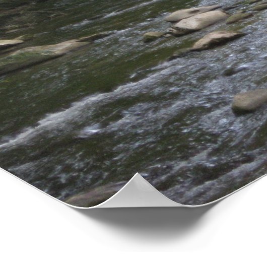 Poster Montagnes Smokey (Coin)