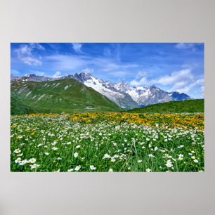 Poster Montagnes Swiss Alps Valley Spring
