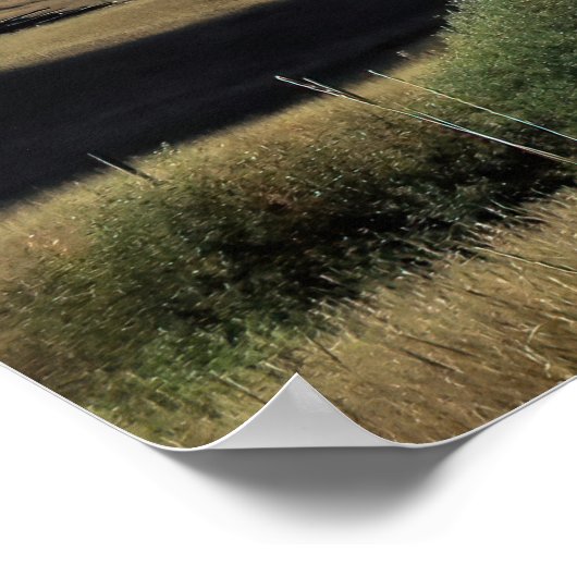 Poster Montana (Coin)