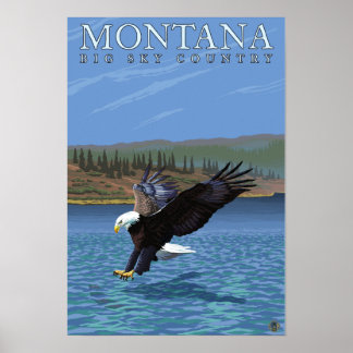 Poster Montana — Big Sky PaysAigle de plongée
