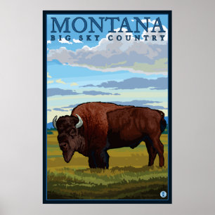 Poster Montana - Bison