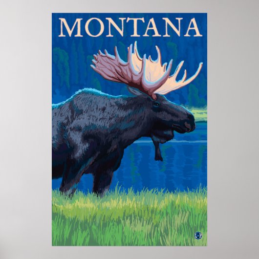 Poster Montana - Oie (Devant)