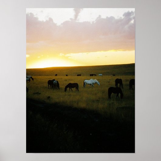 Poster Montana Sky (Devant)