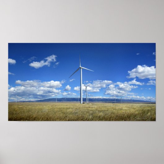 Poster Montana Windmills (Devant)