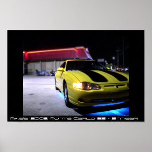 Poster Monte Carlo SS 2002