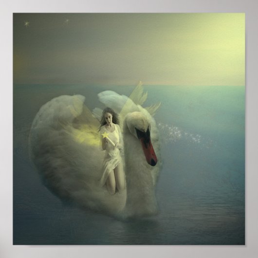 Poster Monter Un Cygne Blanc (Devant)