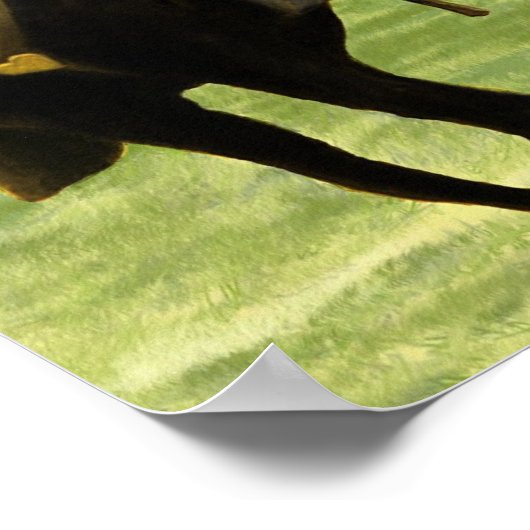 Poster Monter vers la gloire (Coin)