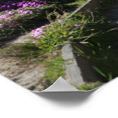 Poster Monterey Beach trail, Spring Photo (Coin)