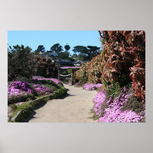 Poster Monterey Beach trail, Spring Photo (Devant)