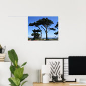 Poster Monterey Cypress Tree, photo de la côte (Bureau à domicile)