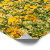 Poster Monterey Spring (Coin)