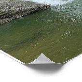 Poster Montour Falls Finger Lakes New York (Coin)