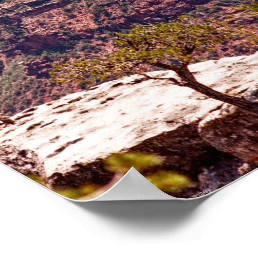 Poster Montres Rafinesques (Coin)