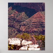 Poster Montres Rafinesques (Devant)