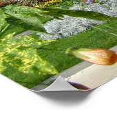 Poster Montreux (Coin)