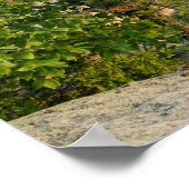 Poster Monts Shawangunk, NY (Coin)