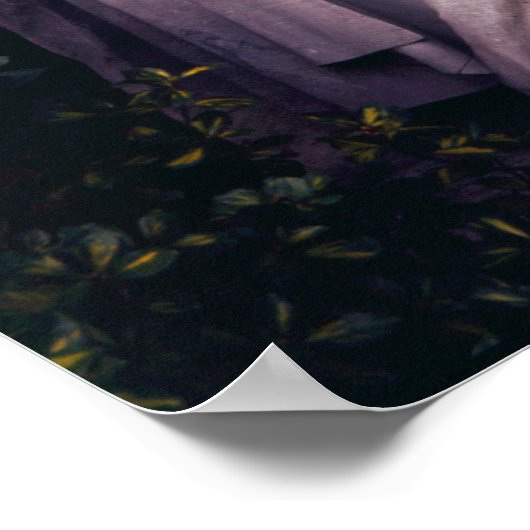 Poster Monument à Frédéric Chopin (Coin)