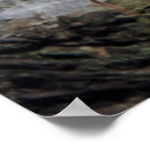 Poster Monument commémoratif national du Mont Rushmore (Coin)