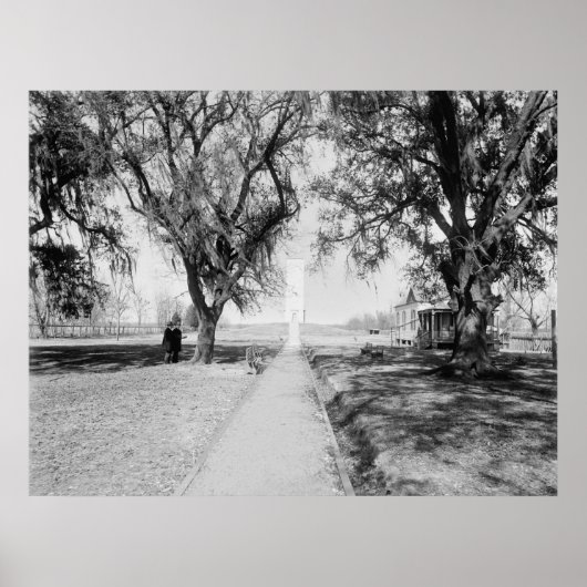 Poster Monument de Chalmette : 1900 (Devant)
