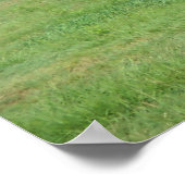 Poster Monument de Hickenlooper (Coin)